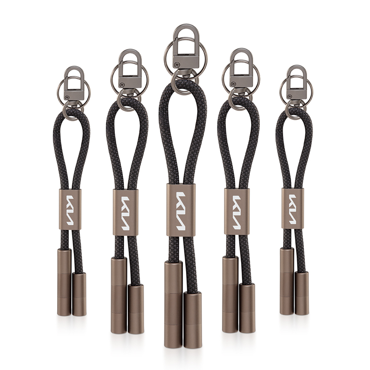 Keychain/ USB Charging Cable - Pack of 5